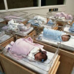 birth-rate