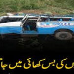 bus-excident