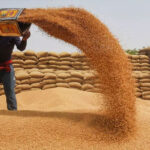 ileagel-wheat