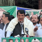 amir-muqam
