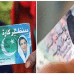 bisp