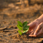 climate-change