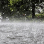 rain
