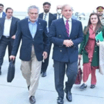 shahbaz