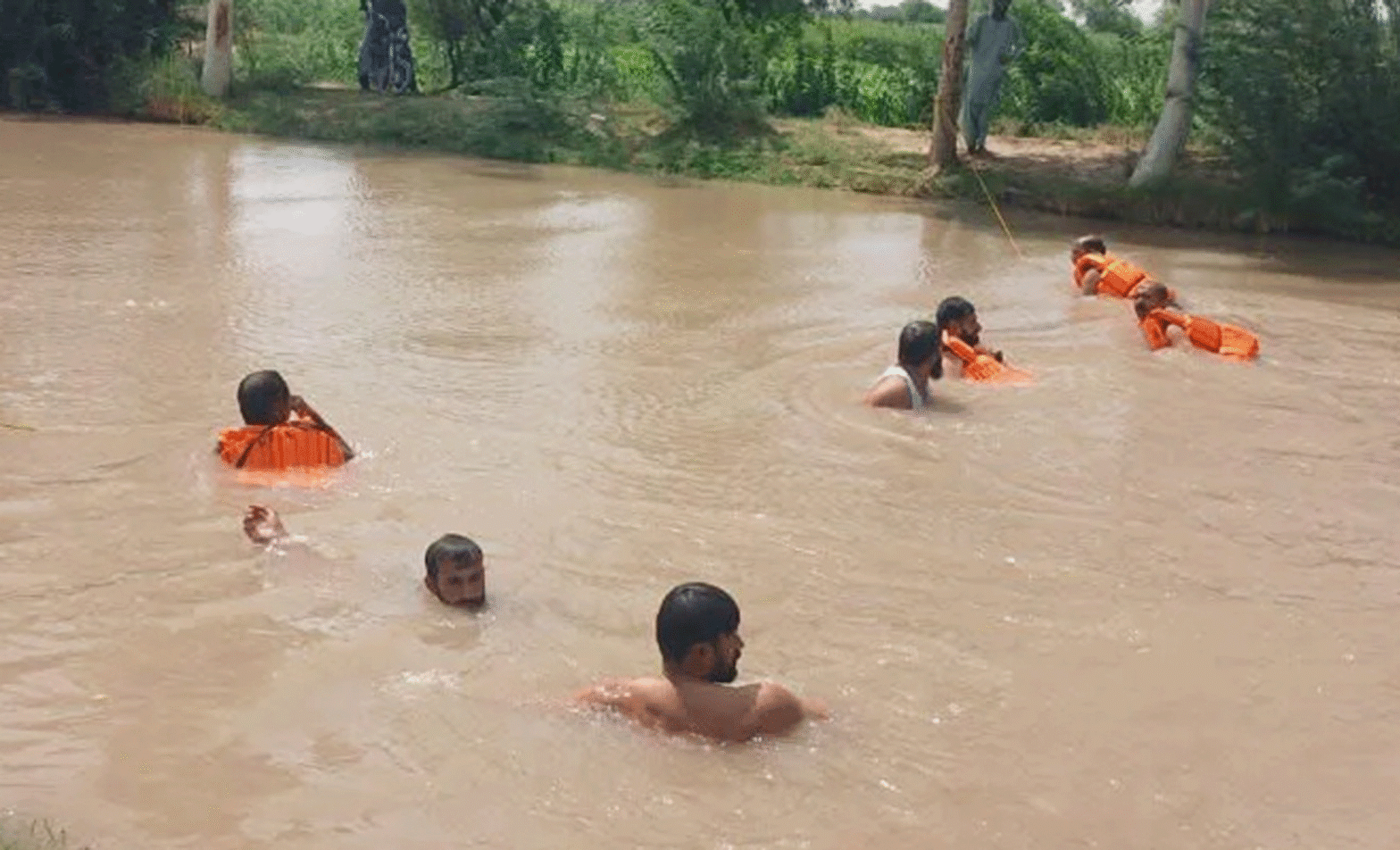 bathing