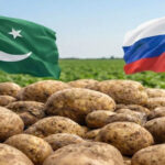 potatos