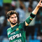 shahin
