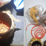 COOKER-BOMB
