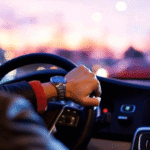 licence
